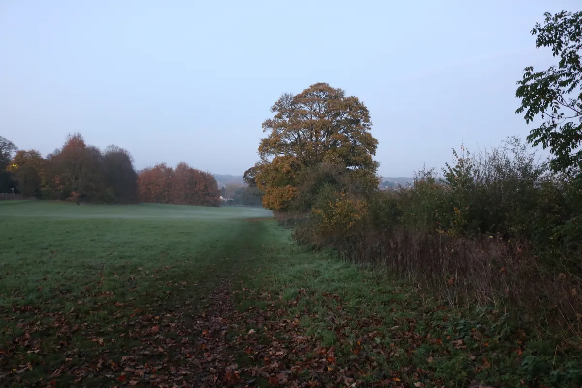 Open parkland and autumn trees in Verulamium Park, St Albans